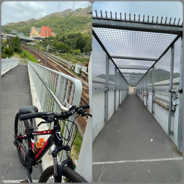 放監啦！瘋狂踩單車🚴‍♀️🤣