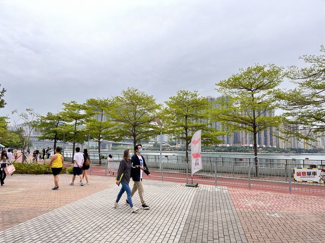 跑步路線推介：荃灣海濱長廊