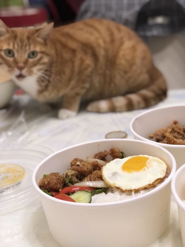 邪惡美食