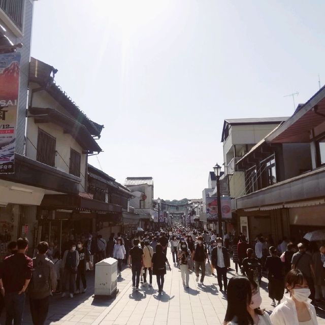 [太宰府市]たくさんの参拝客🙏で賑わう「太宰府天満宮⛩️表参道」