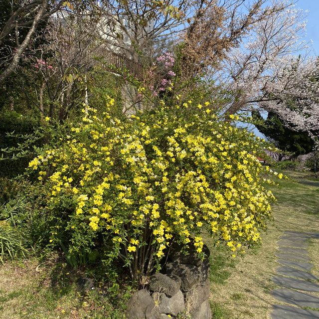 제주도