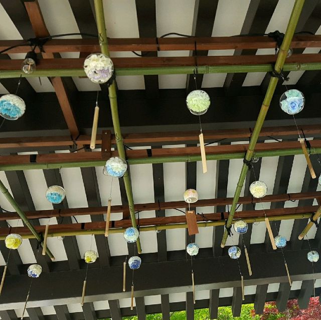 【静岡】虹色のてるてる坊主「法多山 尊永寺」