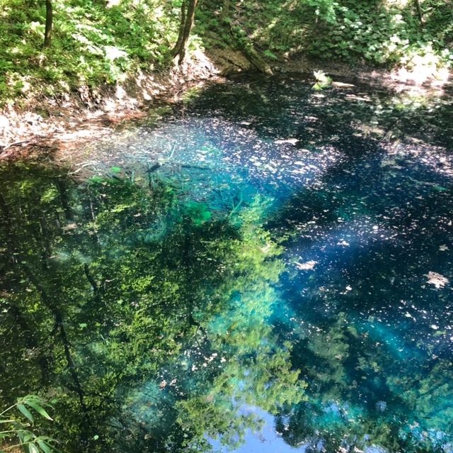 【青森県】世界遺産・白神山地の神秘の池で森林浴！