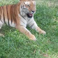 台灣六褔村樂園