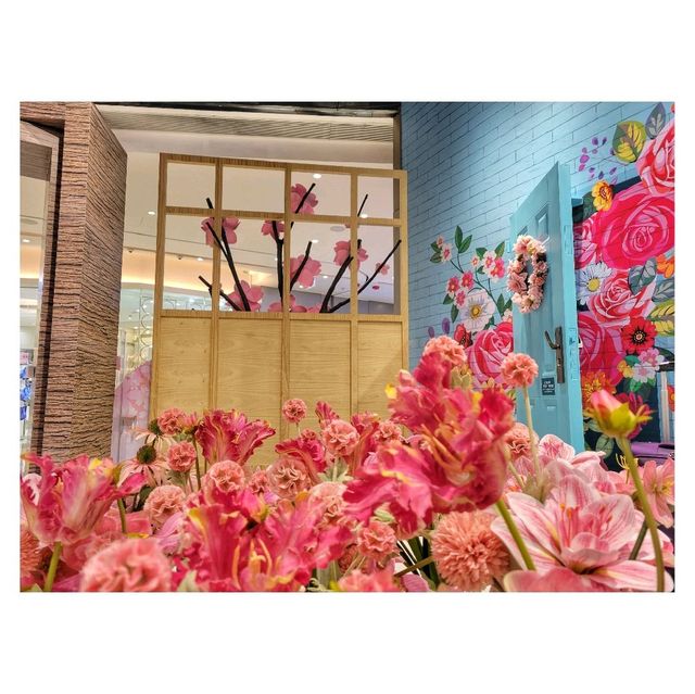遇．花．緣。櫻花祭。北角匯 