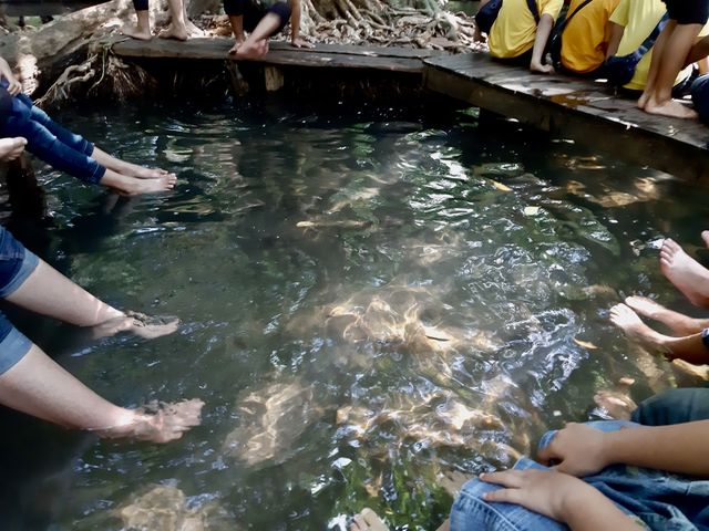 Suan Ta San Fish Spa