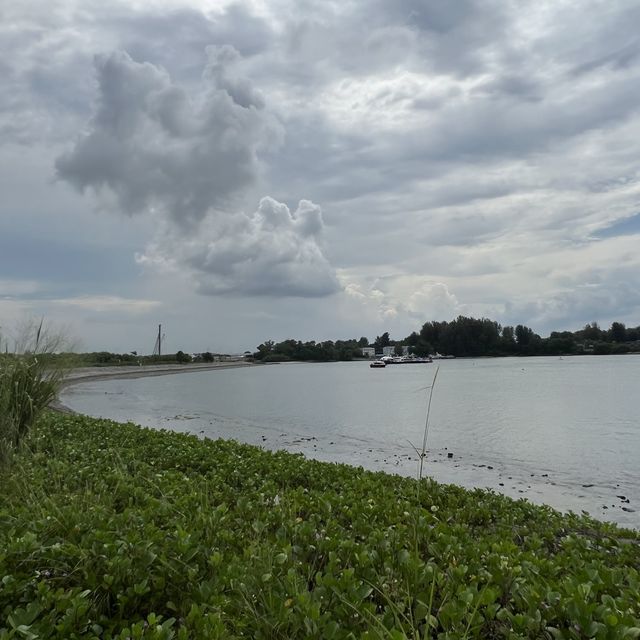 Changi Bay Park Connector Hike 