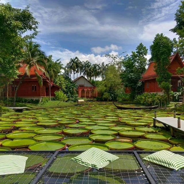 อัพรูปรัวๆ ที่ Ma Doo Bua Cafe' อัพรูปรัวๆ ที่ Ma Doo Bua Cafe'