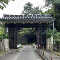 【愛知】名古屋といえばの金の鯱(天守閣)