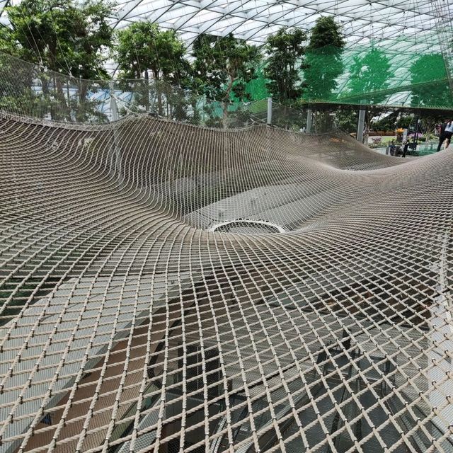 Walking Net