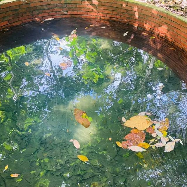 The Long Forgotten Bukit Batok Hillside