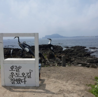 제주도 우도 자전거 타고 한바퀴