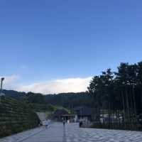 【静岡県】360℃絶景の吊橋へ！