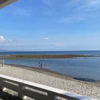 white corals in Bataan