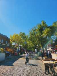 전주 한옥마을 거리 🍁 단풍 피크닉