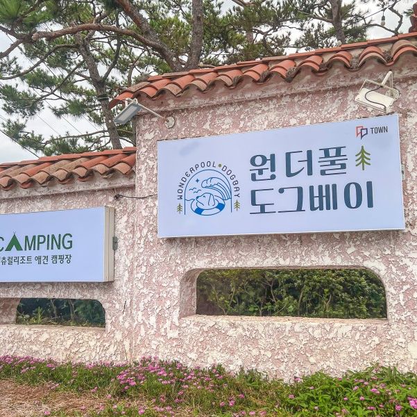 취사가 가능한 애견수영장 ’원더풀도그베이‘