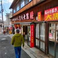 【大阪 東大阪】石切神社の参道を歩こう〜✨