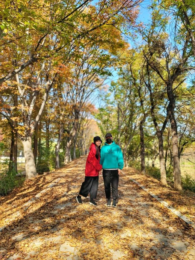 4년만에 다시 개방된 산림환경연구원🌳!!!경주 외나무다리 포토존