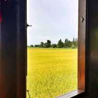 บ้านริมนา คาเฟ่ (Baan Rimna Cafe)