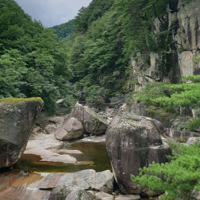 무릉계곡 