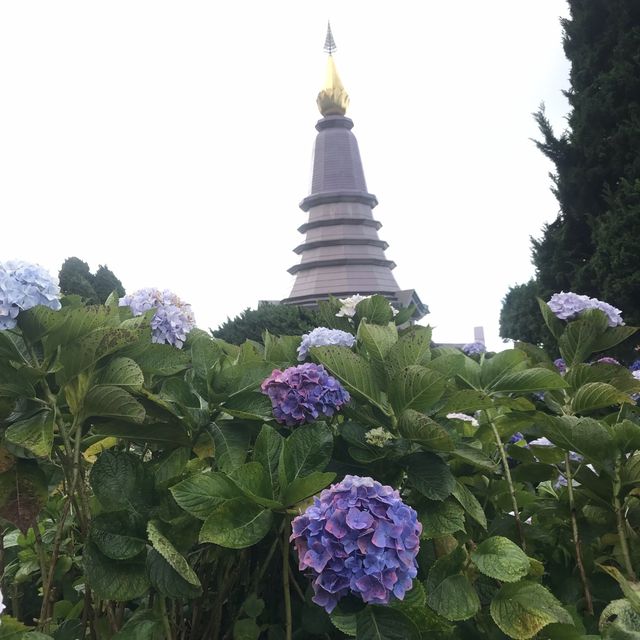 Inthanon~Chiangmai