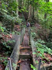 Moongate 5 Penang 👣🍃