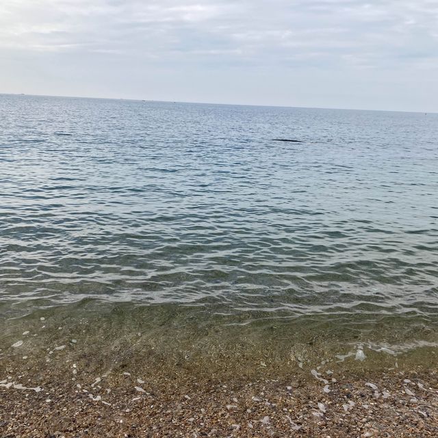 태안 파도리해수욕장 한적한 여행지로 추천!💙