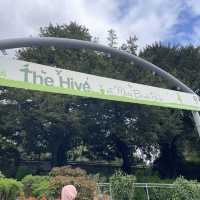 英國曼徹斯特 超大綠化公園 欣賞不同種類嘅植物