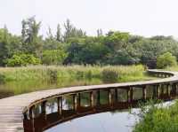 超有教育意義的濕地公園