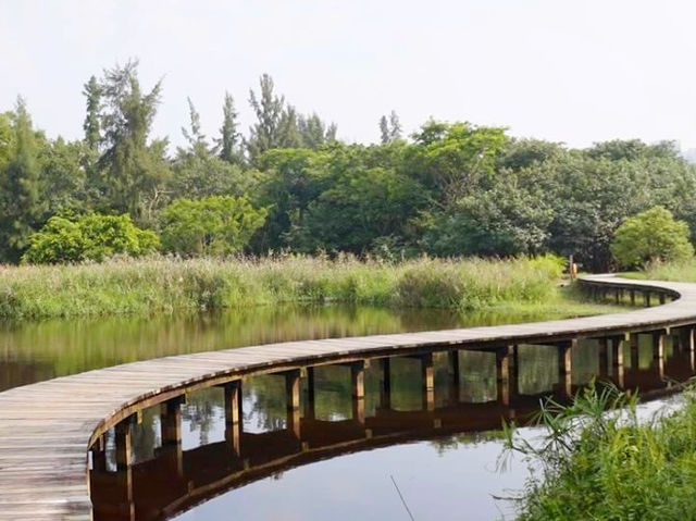 超有教育意義的濕地公園