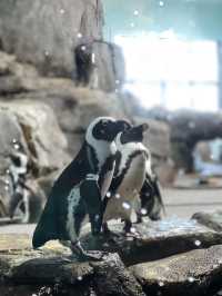 Monterey Bay Aquarium