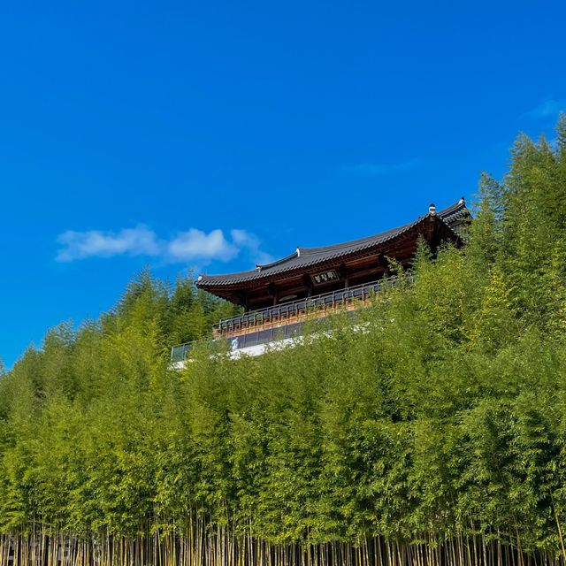 완전 힐링여행! 담양 죽녹원🎋