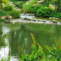 kingfisher Wetlands at Garden By The Bay