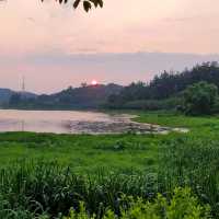 군산 은파호수공원