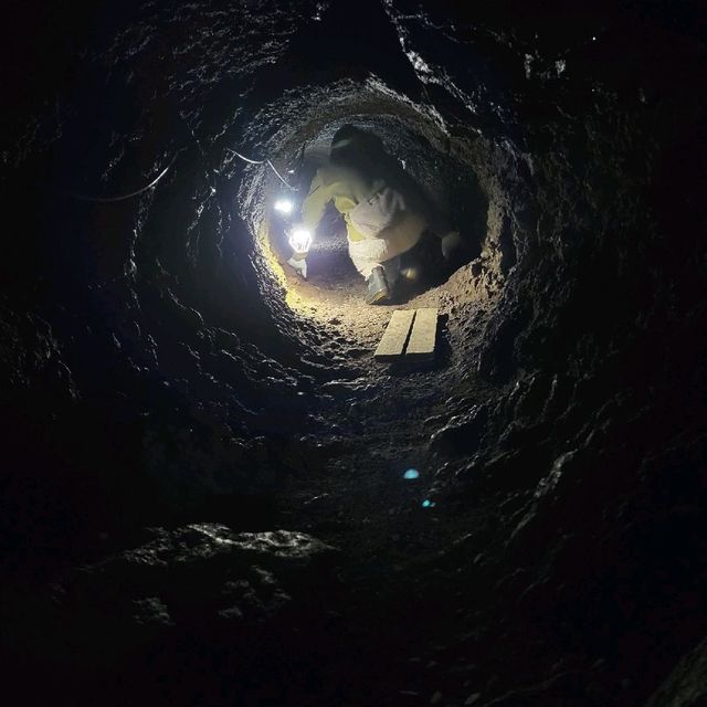 【山梨】富士山のお腹に入れる！洞窟～船津胎内樹型
