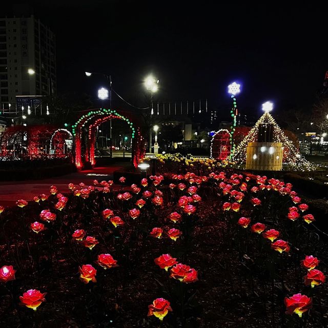 포항 영일대 해수욕장의 야경 맛집🎆