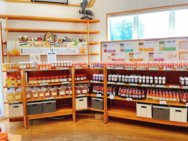 【秋田】田沢湖の「山のはちみつ屋」