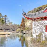 上海友好園とほとりの梅の花
