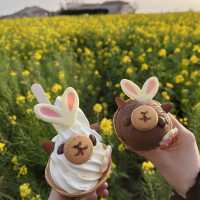 【神奈川】絶景の菜の花畑💛ソレイユの丘