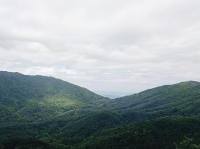 針山