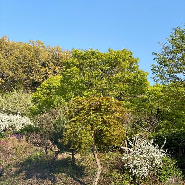 #봄여행 은 역시 캠핑이지 #중랑캠핑숲