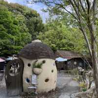 まるでおとぎの国⁉︎ ぬくもりの森🌳