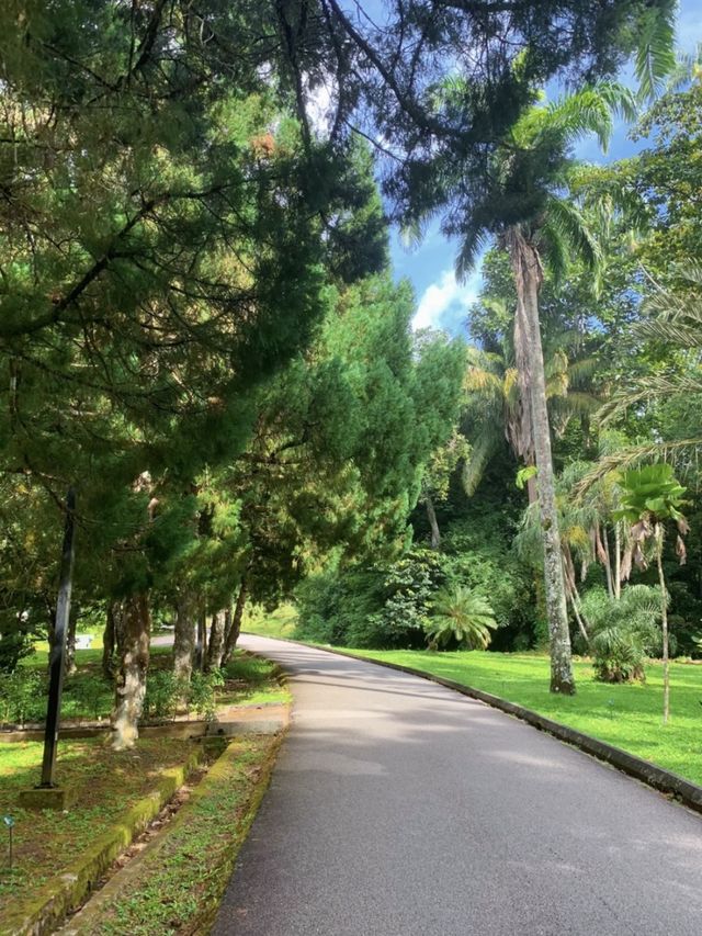 Penang Botanical Garden