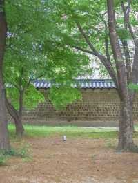 서울 한옥데이트 추천, 창경궁
