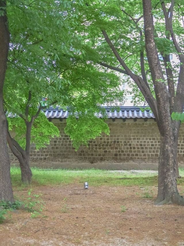 서울 한옥데이트 추천, 창경궁