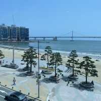 부산에서의 알찬 2박 3일 여행코스 공유해요! (뚜벅이코스)