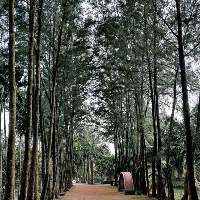 A day with nature❣️