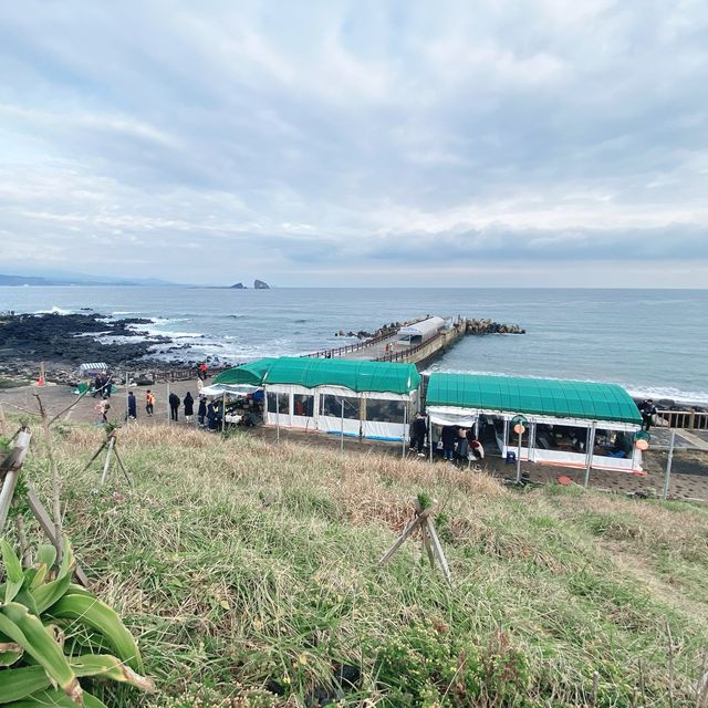 Jeju island 🇰🇷🏝⛰💗🫶🏻🛫✈️