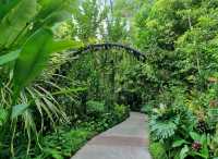 Nature Tranquil 