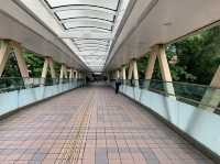 The Biggest Public Library in Hong Kong